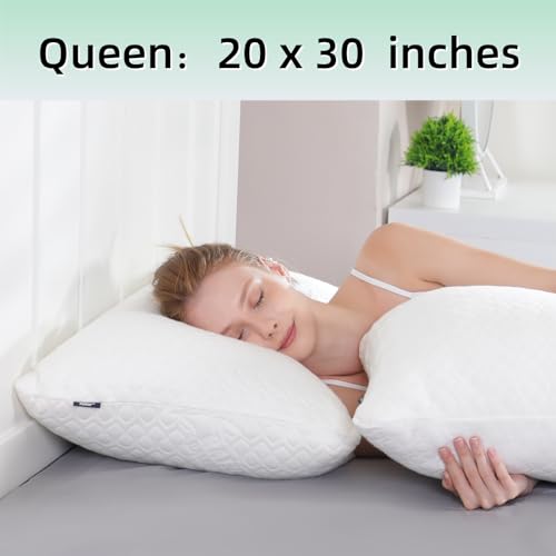 Rainmr Queen Size Bed Pillow for Sleeping Shredded Memory Foam Adjustable Loft Pillows with Cooling Washable Pillow Case, 20x30 inches (White, Queen 1-Pack) - size: 20x30 IN