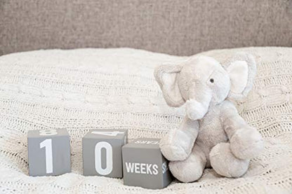 Kate & Milo First Moments Wooden Baby Milestone Blocks - color: Age Blocks