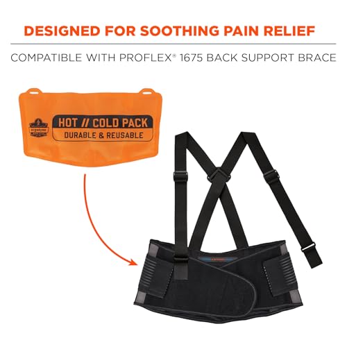 Ergodyne Proflex 6275 Reusable Hot/Cold Pack, Includes 2 Cooling/Warming Packs