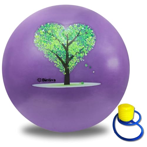 bintiva Exercise Ball - color: Stabilizing Sand - Purple, size: M (58-65cm)