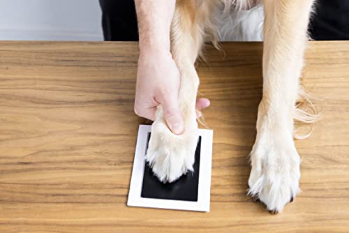 Pearhead 4-Pack Clean Touch Ink Pad Kit, Baby and Pet Pawprint Keepsake - color: Black 4-Pack, size: Regular 2.5" x 3.5”