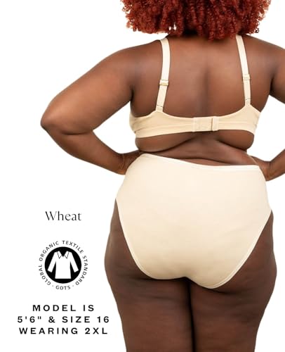 Subset Women's Organic Cotton High-Rise Brief, Knickey Underwear, 3-Pack - color: Cacao + Spice + Wheat, size: X-Large