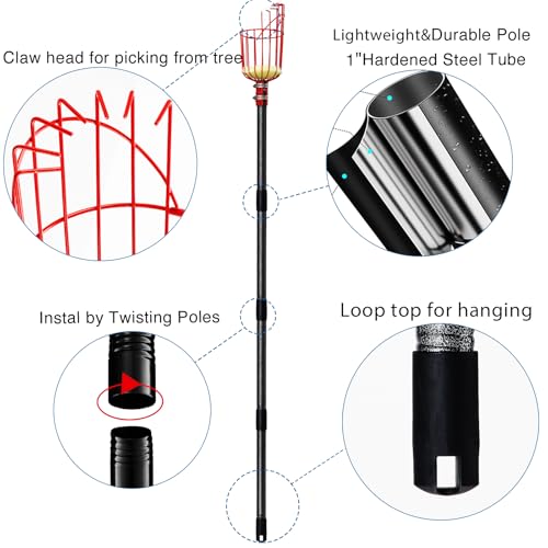 DonSail Fruit Picker Pole Tool with Basket Telescoping - Adjustable Mango Picker 35-120 inch Long Handle - Apple Orange Avocado Acorn Lemon Pear Pomelo Chery Picker for Tree - size: 35-120"