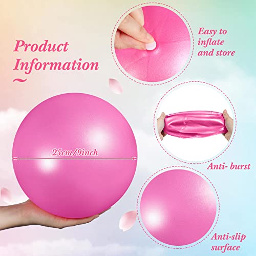 Aoriher 10 Pcs Small Pilates Ball Bulk 9 Inch Mini Yoga Ball - color: Pink, Purple