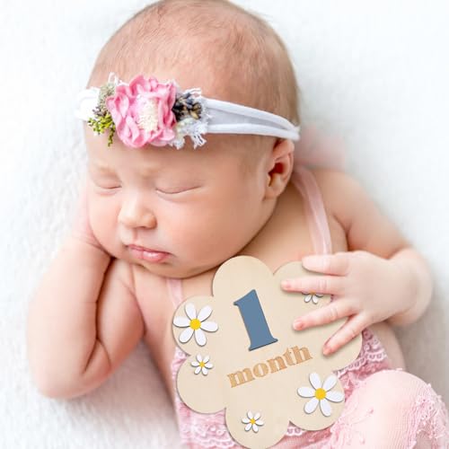 3D Daisy Baby Monthly Milestone Sign Cards, Slate Blue - color: Slate Blue