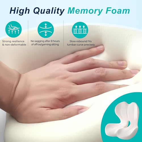 Seat Cushion for Office Chair, Ergonomic Cushion with Lumbar Support Pillow - color: Black