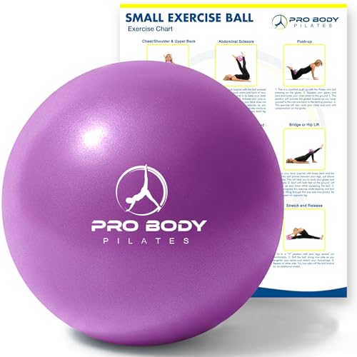 ProBody Pilates Ball Small — 9 Inch Small Exercise Ball - color: Purple
