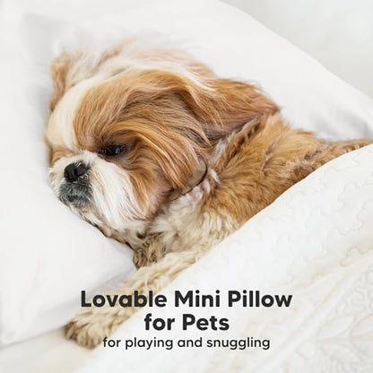Mini Toddler Pillow with Pillowcase, 9x13 My Dreamy Pillow (Soft White) - color: Soft White, size: Mini 9x13