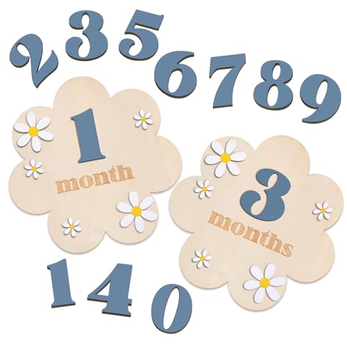 3D Daisy Baby Monthly Milestone Sign Cards, Slate Blue - color: Slate Blue