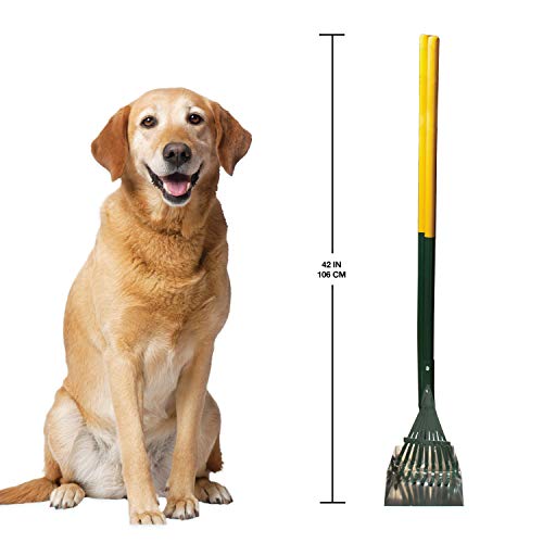Four Paws Dog Rake & Scooper Set for Pet Waste Pick-Up, Small, 2 Count - size: Small, 7" x 7" x 38", style: Rake & Pan Set