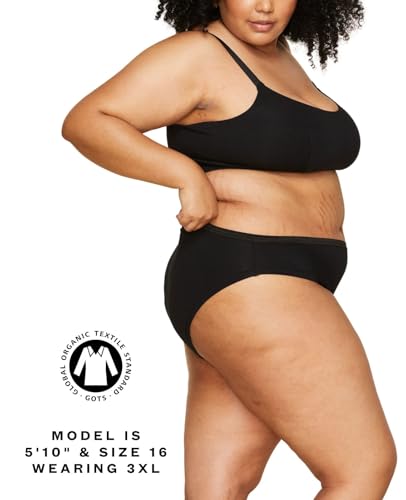 Subset Women's Organic Cotton Mid-Rise Bikini, Knickey Underwear, Single - color: Carbon, size: Small