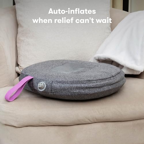 Frida Mom Donut Pillow Perineal Comfort Cushion with Cold Pack for Pain - size: 3 Piece Set