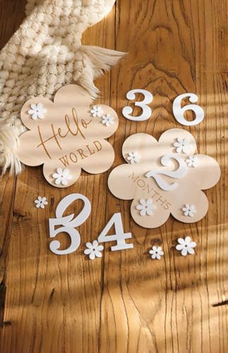 A Set of Baby Monthly Milestone Signs,Newborn 1-12 Months Wooden Milestone Markers, Baby Growth Record Photo Atmosphere Props, Memorial Photo Prop,Babygirl Boy Essentials - color: A-white number