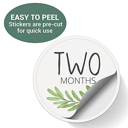 Baby Monthly Milestone Stickers - Set of 24 - Greenery Designs