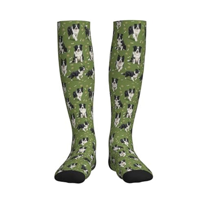 Cute Dog Compression Socks Women Men, Dog Lover Gift - color: Border Collie