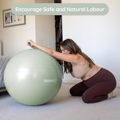 BABYGO Birthing Ball, Pregnancy & Labor, Award Winning Book - color: Sage, size: 65cm - Manual