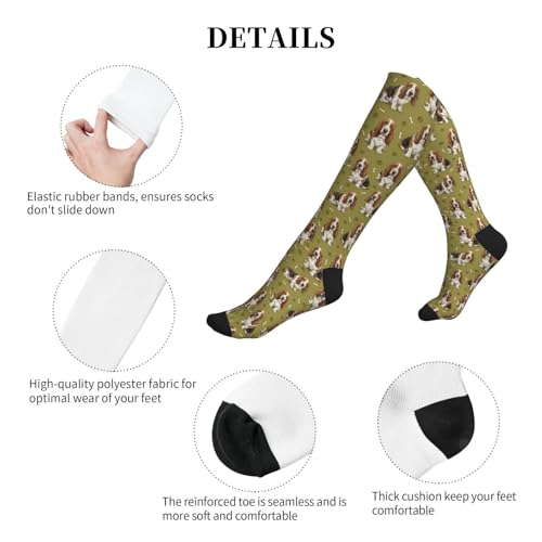 Cute Dog Compression Socks Women Men, Dog Lover Gift - color: Basset Hound