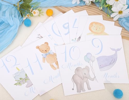 Baby First Holiday Cards,First Year Cards,Monthly Milestone Baby Shower