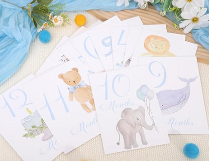Baby First Holiday Cards,First Year Cards,Monthly Milestone Baby Shower