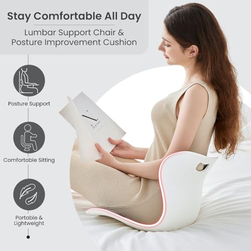 Lumbar Support Cushion – Silver, Large, Office, Chairs & Car Seats - color: Silver, size: Large