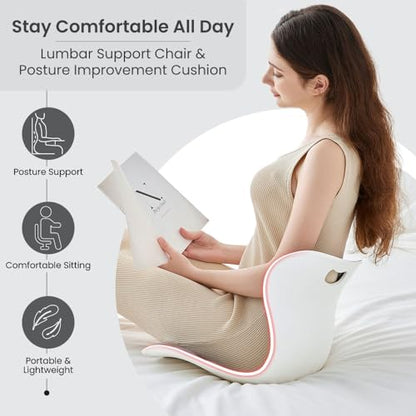 Lumbar Support Cushion – Silver, Large, Office, Chairs & Car Seats - color: Silver, size: Large