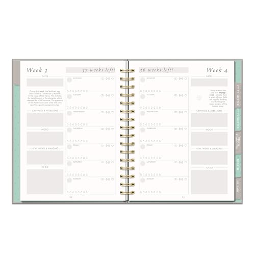 Studio Oh! Countdown to Baby Pregnancy Journal for Women - color: Gold