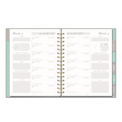 Studio Oh! Countdown to Baby Pregnancy Journal for Women - color: Gold