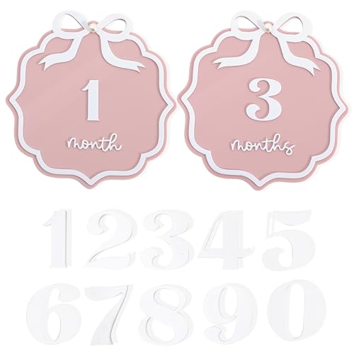 Pink Acrylic 1 to 12 Months Milestone Cards - Bow Nursery Decorations