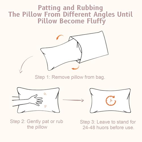 vocheer Small Pillow with Removable Cover, 11"x 7" Tiny Travel Pillow 2PCS - color: Dove-2pc