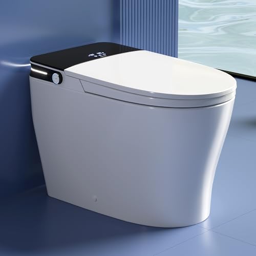DeerValley Bidet Toilet, 1000g MaP Auto Flush, Foam Shield, ADA Seat Height - color: Solid White