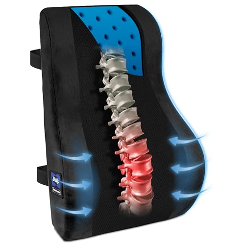 Sealy High Back Memory Foam Lumbar Support Pillow for Office Chair or Gaming Chair, Orthopedic Back Pillow for Car Seat, Black - color: Black