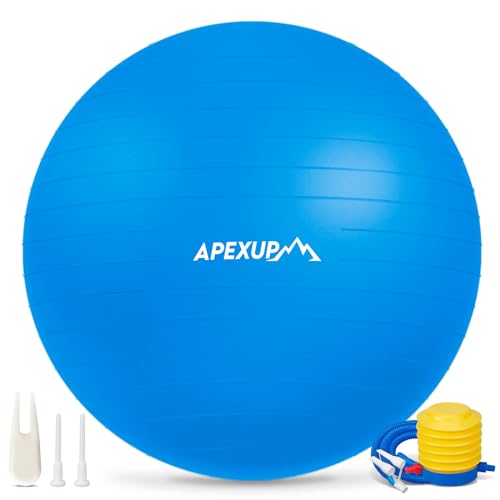APEXUP Yoga Ball, 660 lbs Anti-Burst Exercise Ball with Pump, 5 Sizes - color: Blue, size: XL (27"~30") 75cm