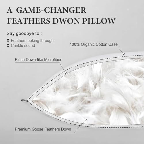 DWR Goose Feather Down Body Pillow, Organic Cotton, Medium, 20x54, 1 Pack - size: Body Pillow Only