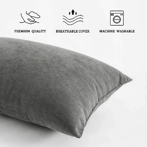 BEDSUM Plush Mini Pillows, 11 x 7, Microfiber, 2 Pack, Dark Grey - color: Dark Grey, size: 11x7 inches