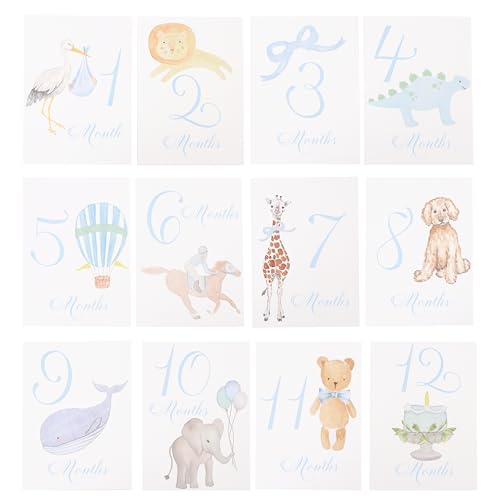 Baby First Holiday Cards,First Year Cards,Monthly Milestone Baby Shower