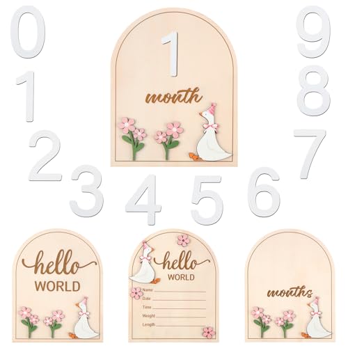 Colingmill 2 Pcs Monthly Baby Milestone Signs Cards with Pink Bow Wooden Coquette Discs Newborn Photography Props to Document Your Baby's Growth 1-12 Newborn Gift for Girl and Boy(Silly Goose)