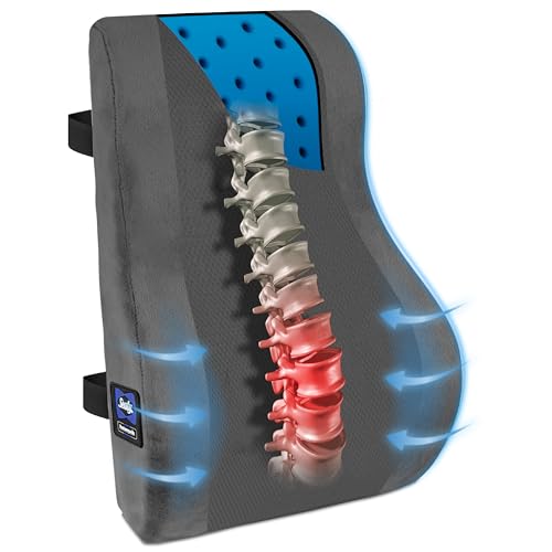 Sealy High Back Memory Foam Lumbar Support Pillow for Office Chair or Gaming Chair, Orthopedic Back Pillow for Car Seat, Gray - color: Gray