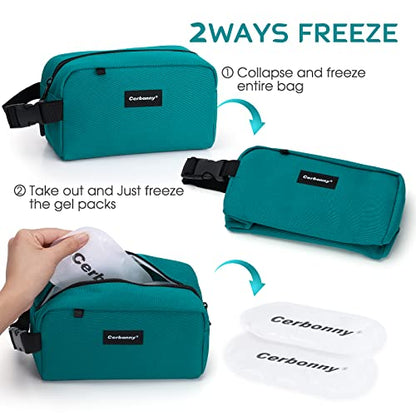 Cerbonny Freezable Snack Bag,Built-In Ice Pack,Mini Cooler Bag - color: blue-1