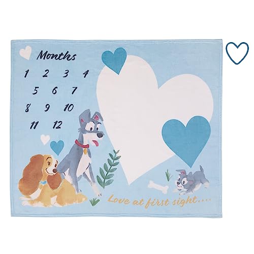 NoJo Disney Lady & The Tramp Blue, White, and Gold Love at First Sight Super Soft Photo Op Milestone Baby Blanket - color: Lady and the Tramp