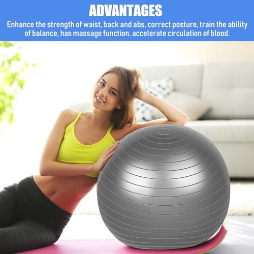 Leyndo 8 Pcs 26 Inch Large Yoga Exercise Ball - color: Gray