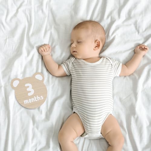 Kate & Milo Teddy Bear Baby Milestone Marker Discs, 1-12 Months - color: Bear