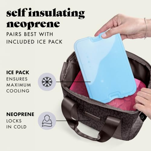 Fit & Fresh Remi Neoprene Lunch Bag for Women w/Ice Pack & Containers - color: Chocolate Feline Fine, size: One Size