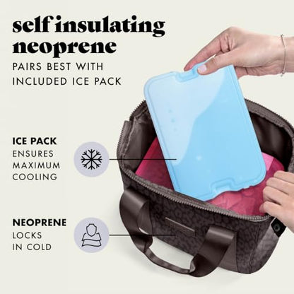Fit & Fresh Remi Neoprene Lunch Bag for Women w/Ice Pack & Containers - color: Chocolate Feline Fine, size: One Size