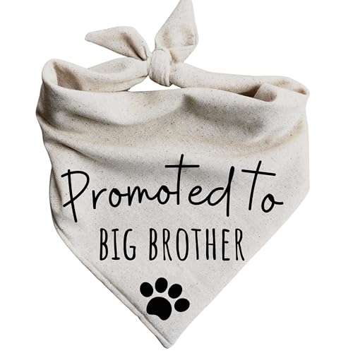 Dog Bandanas Promoted to Big Brother Pregnancy Announcement Baby Reveal Oatmeal Beige Minimal (Small) - size: Small