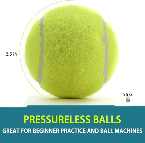INSUM Bulk Tennis Balls, Extra Duty Practice Balls with Mesh Bag - color: Mixed, size: 12 Pack