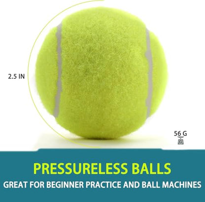 INSUM Bulk Tennis Balls, Extra Duty Practice Balls with Mesh Bag - color: Mixed, size: 12 Pack