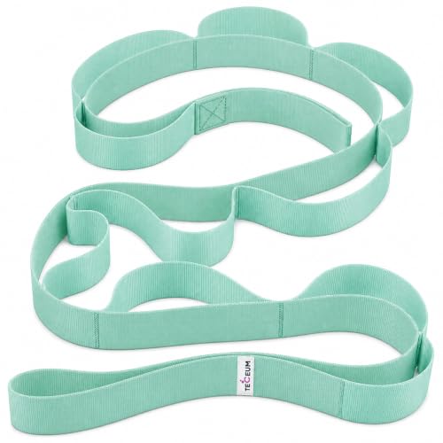 TECEUM Stretching Strap with 10 Loops for Physical Therapy & Rehab - color: Light Green, size: Polypropylene 1” W - 10 Loops