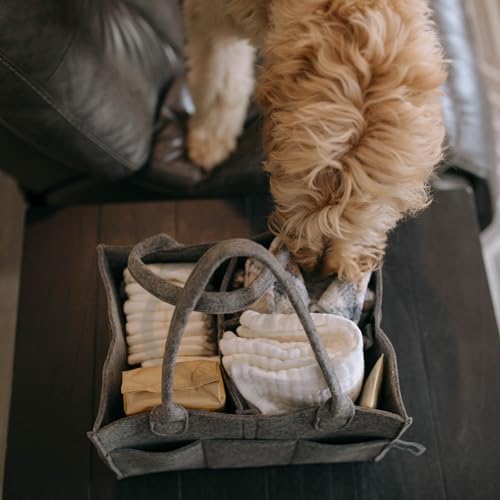 Parker Baby Co. Felt Diaper Caddy Organizer - Large, Charcoal - color: Charcoal (Heathered Charcoal), size: Large