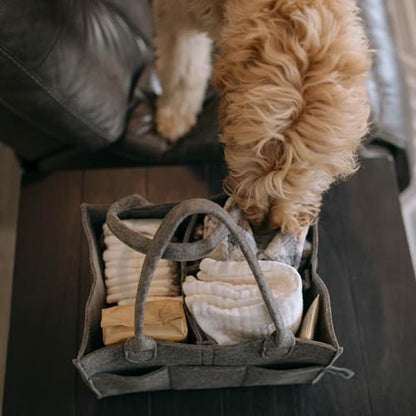Parker Baby Co. Felt Diaper Caddy Organizer - Regular, Charcoal - color: Charcoal (Heathered Charcoal), size: Regular
