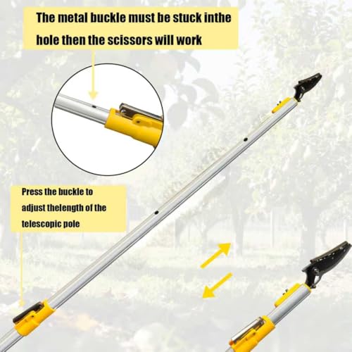 Telescopic Pole Pruner & Fruit Picker with Locking Adjustable Head -